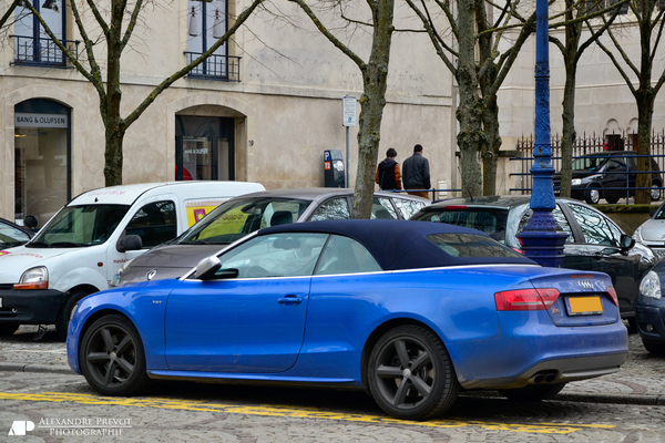 Audi A5 Cabriolet 177 CH AVUS Diesel