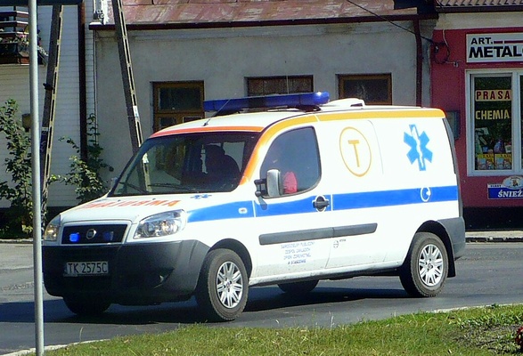 Fiat Doblo 1.6 MULTIJET 16V 90 CH S/S DPF LOUNGE DUALOGIC Diesel